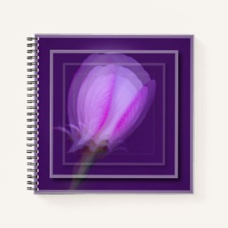 Pink and Purple Spring Blossom Double take