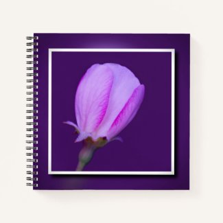 Pink and Purple Spring Blossom Elegant Floral