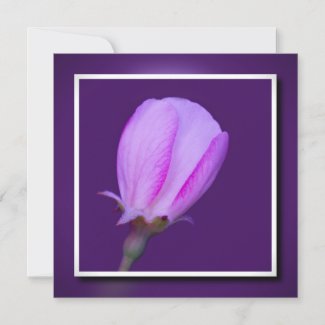Pink and Purple Spring Blossom Flat Card