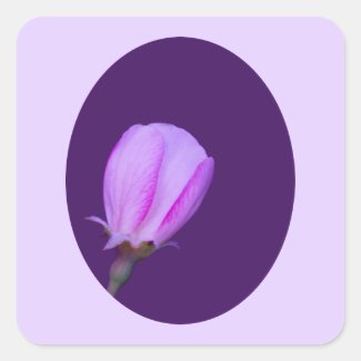 Pink and Purple Spring Blossom