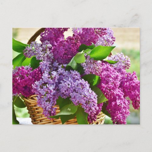 Pink and Purple Spring Lilac Flowers in a Basket Postcard