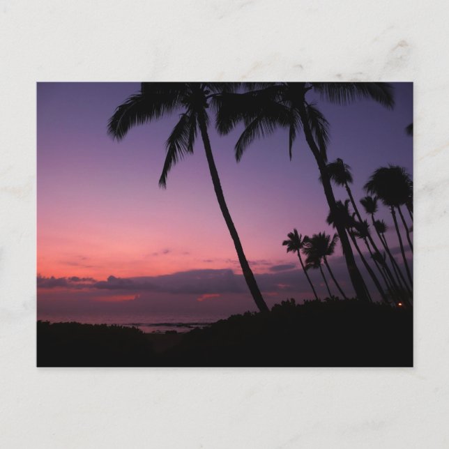 Pink and purple tropical sunset postcard (Front)