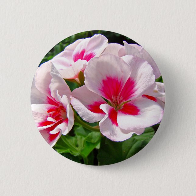 Pink and Red Geranium Floral Pinback Button (Front)