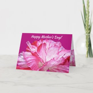 Pink and Red Poppy Flowers Floral Mothers Day Card