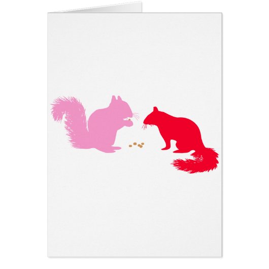 Pink and Red Squirrels Cards (Front)