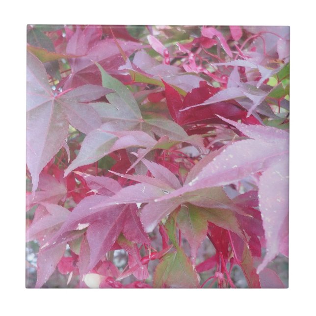 Pink And Sage Fall Leaves Ceramic Tile (Front)