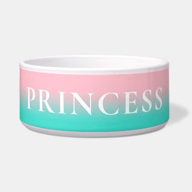 Pink and Turquoise Ombre Bowl (Front)