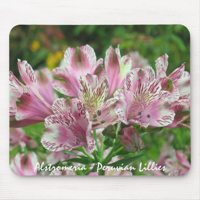 Pink and White Alstromeria Mousepad (Front)