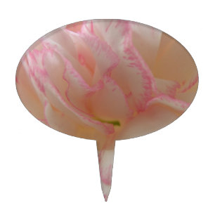 Pink and White Carnation Cake Pick