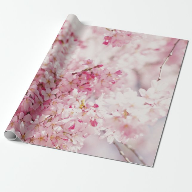 PINK AND WHITE CHERRY BLOSSOM WRAPPING PAPER (Unrolled)