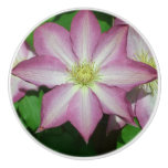 Pink and White Clematis Spring Flower Ceramic Knob