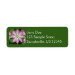 Pink and White Clematis Spring Flower Label