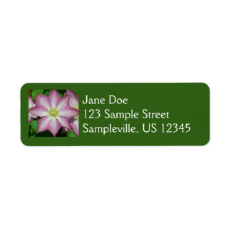 Pink and White Clematis Spring Flower Label