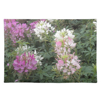 Pink and White Cleome Blooms Cloth Placemat