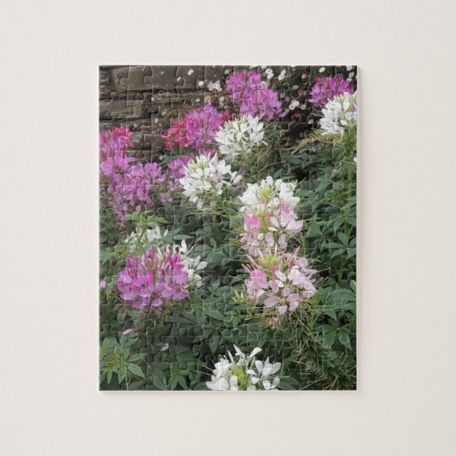 Pink and White Cleome Blooms Jigsaw Puzzle (Vertical)