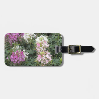 Pink and White Cleome Blooms Luggage Tag