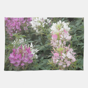 Pink and White Cleome Blooms Towel