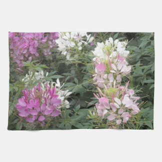Pink and White Cleome Blooms Towel