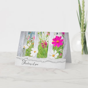 Pink and White Cosmos Flowers Thinking of You Card