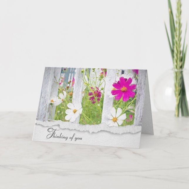 Pink and White Cosmos Flowers Thinking of You Card (Front)