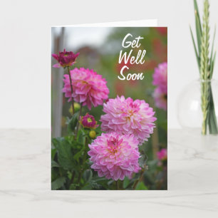Pink and White Dahlia Flower Get Well Soon Thank You Card