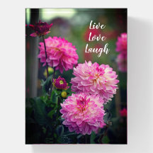 Pink and White Dahlia Flower Motivational