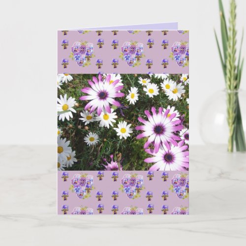 Pink and White Daisy Flower Floral Photo art Card