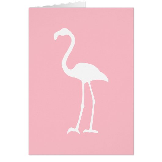 Pink and White Flamingo Cards (Front)