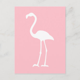 Pink and White Flamingo Postcard