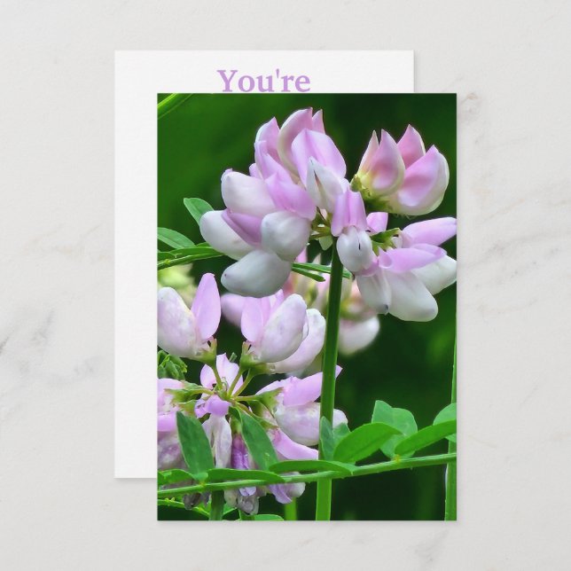 Pink and White Flower Buds Invitation (Front/Back)