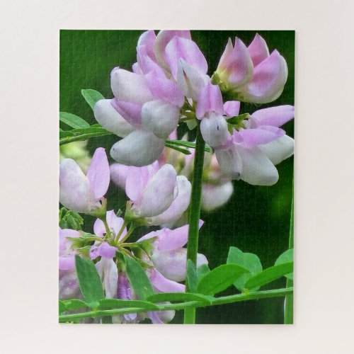 Pink and White Flower Buds Jigsaw Puzzle