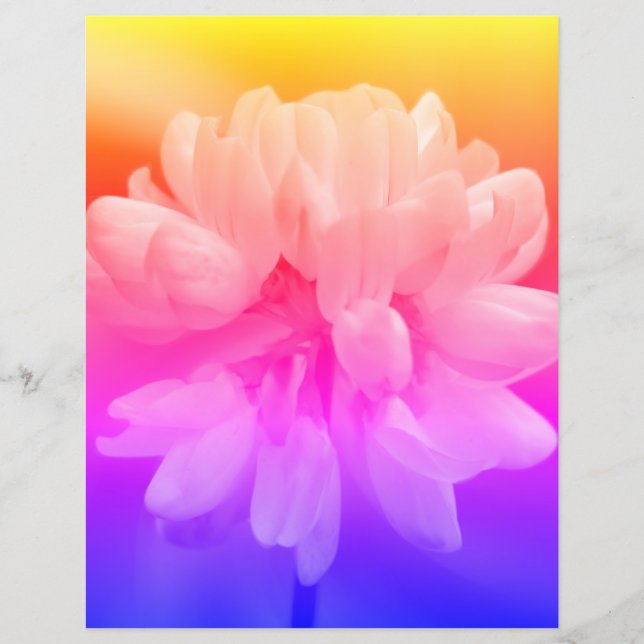 Pink And White Flower Close Up  (Front)