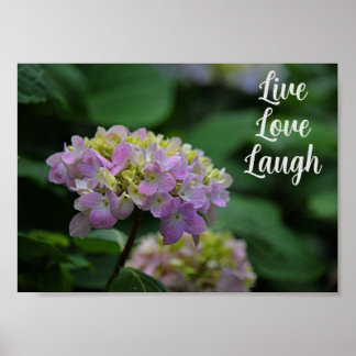 Pink and White Hydrangea Flowers Motivational Poster