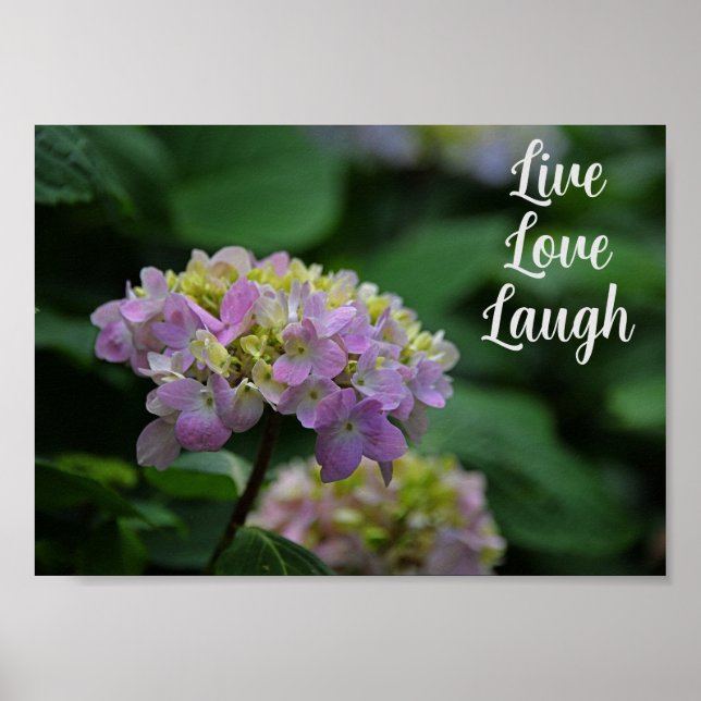 Pink and White Hydrangea Flowers Motivational  Poster (Front)