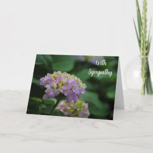 Pink and White Hydrangea Flowers With Sympathy Card