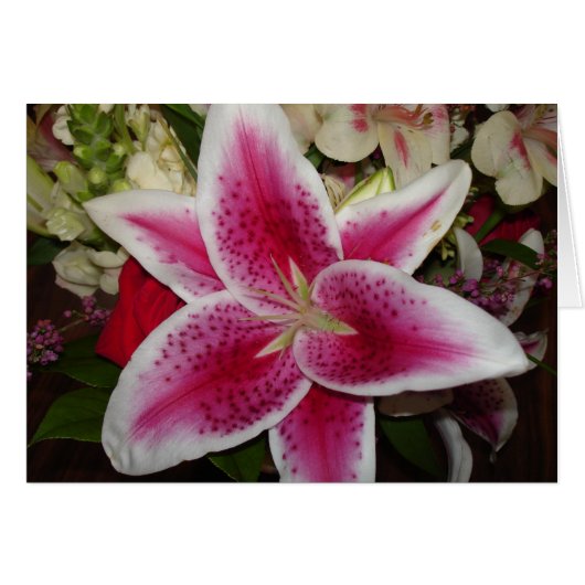 pink and white lily flower cards (Front Horizontal)