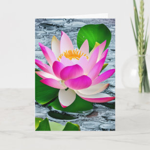 Pink And White Lotus Flower On Sparkling Pond Card