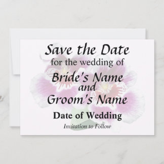 Pink and White Miltoniopsis Orchids Save The Date