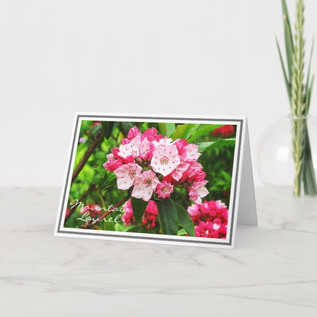 Pink and White Mountain Laurel Card (Front)