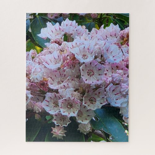 Pink and White Mountain Laurel Flowers Jigsaw Puzzle