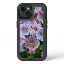 Pink and White Mountain Laurel Flowers
