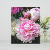 Pink and White Peonies (Standing Front)