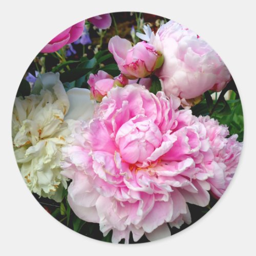 Pink and White Peonies Classic Round Sticker