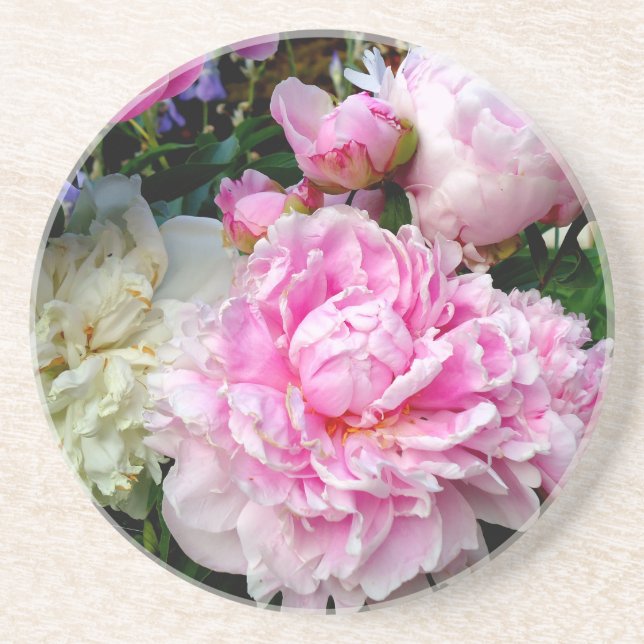Pink and White Peonies Coaster (Front)