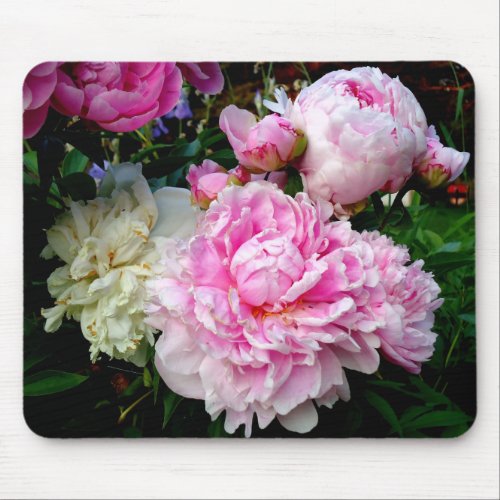 Pink and White Peonies Mouse Pad