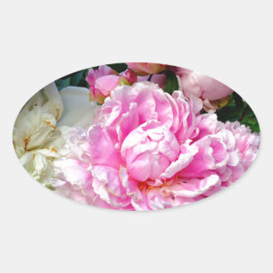 Pink and White Peonies Oval Sticker