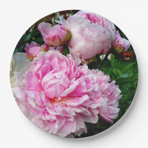 Pink and White Peonies  Paper Plates