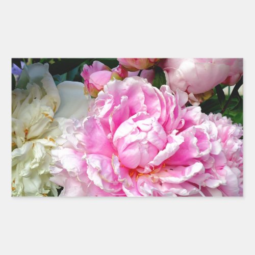 Pink and White Peonies Rectangular Sticker