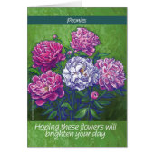 PInk and White Peony Flowers (Front)