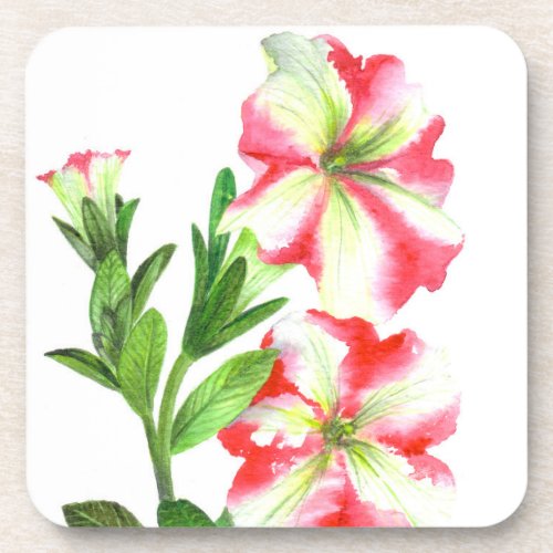 Pink and White Petunias Floral Art Drink Coaster